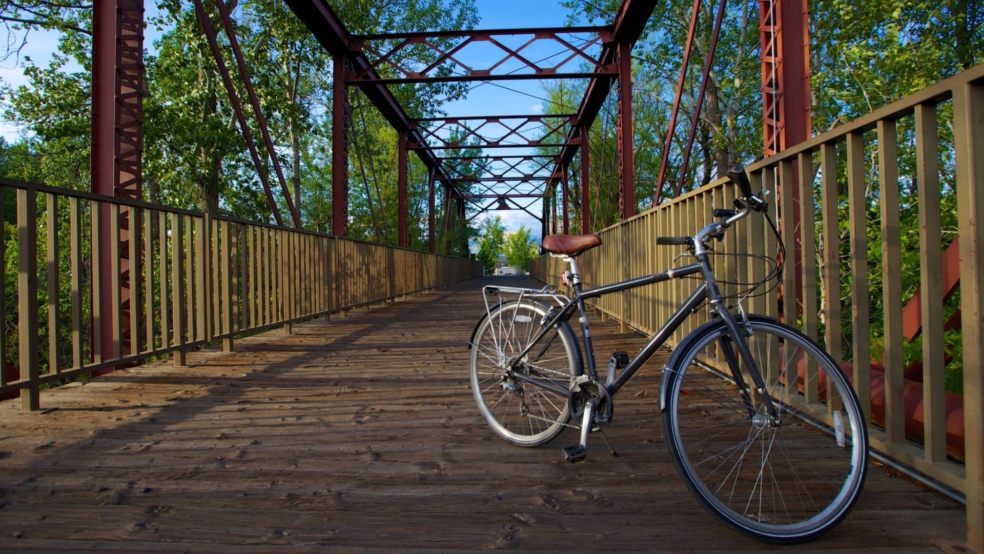 A photo of a bike standing up in the middle of a bridge