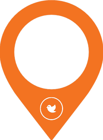 tib-TwitterFollowers image representing This is Boise's Twitter followers