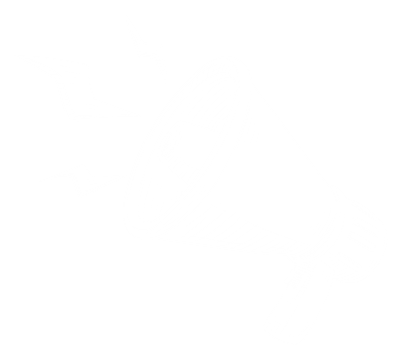 Engagement Megaphone 2