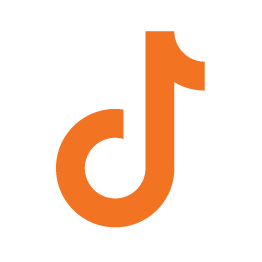 TikTok Followers