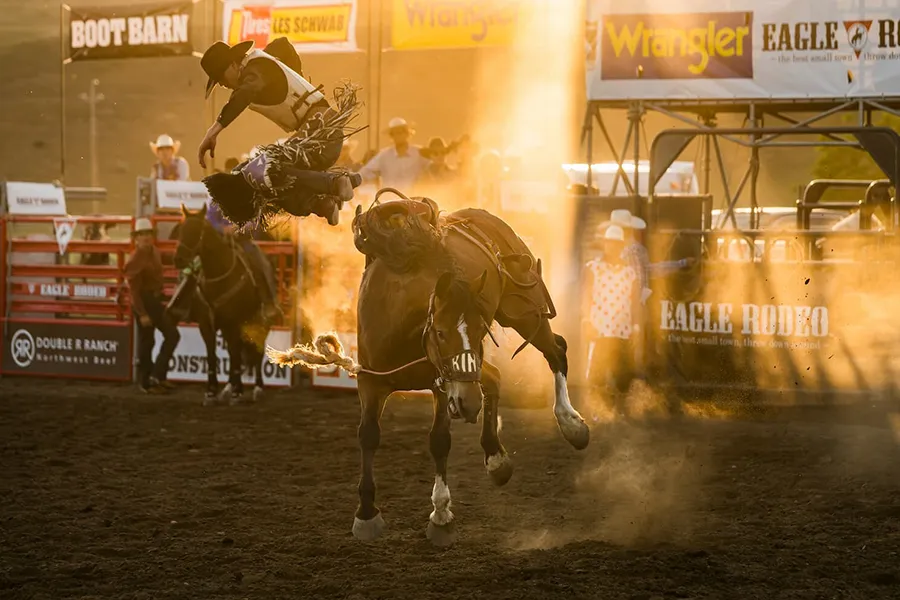 Eagle Rodeo