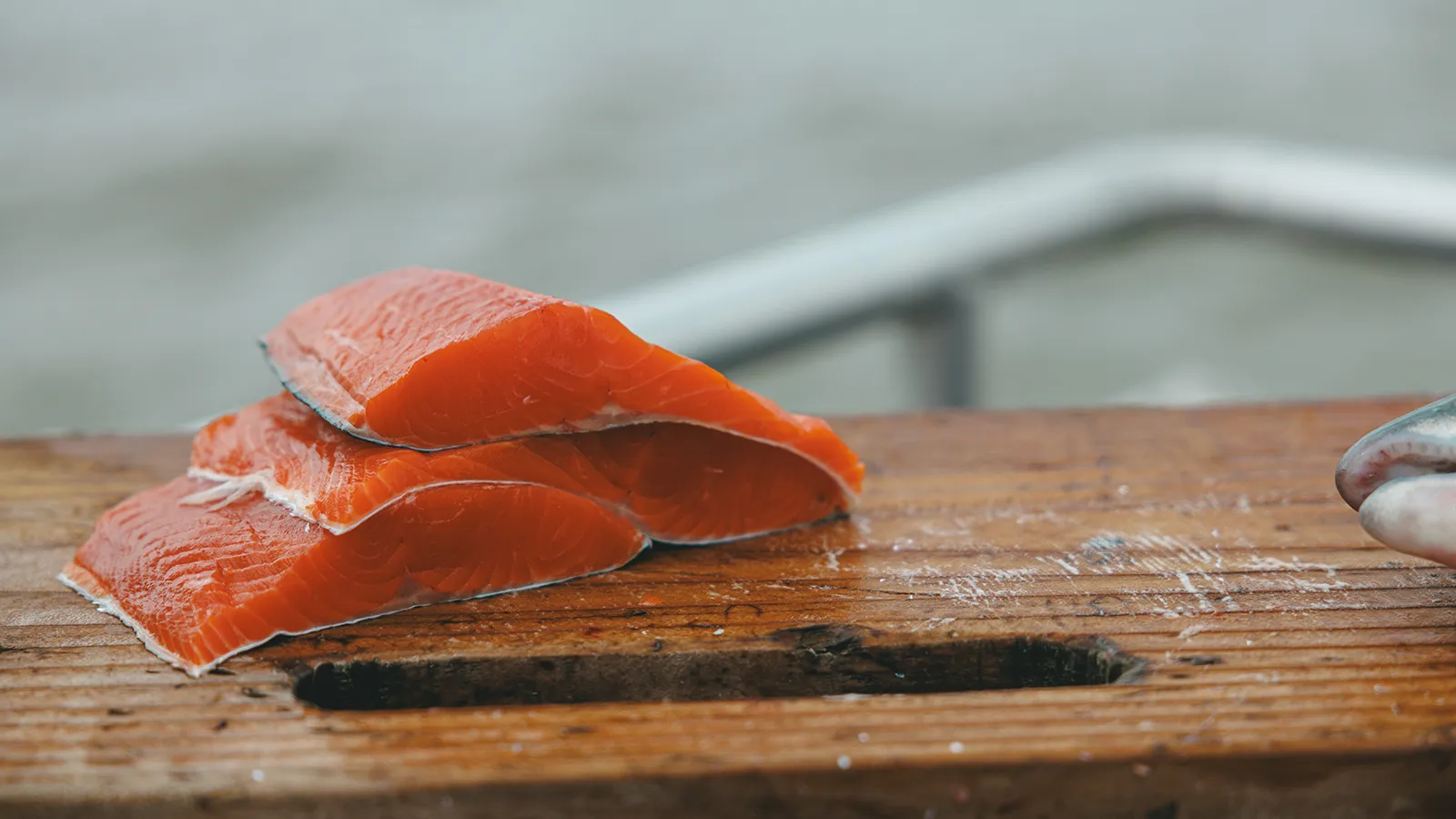 Bristol Bay Salmon on Ship