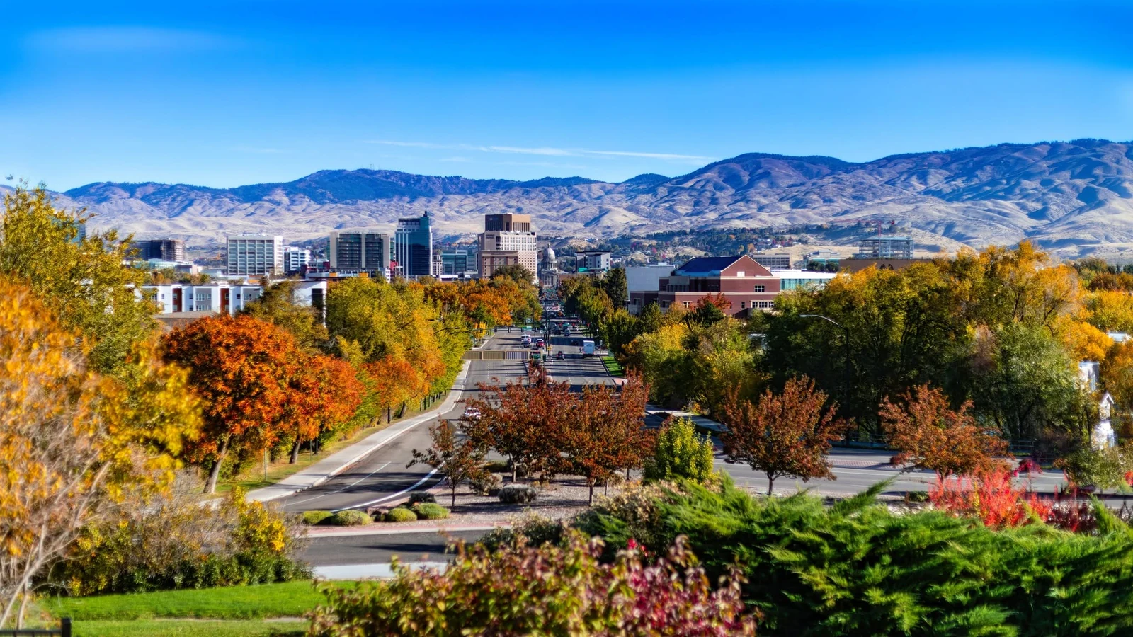 Fall colors along Capitol Boulevard looking toward downtown Boise and the foothills