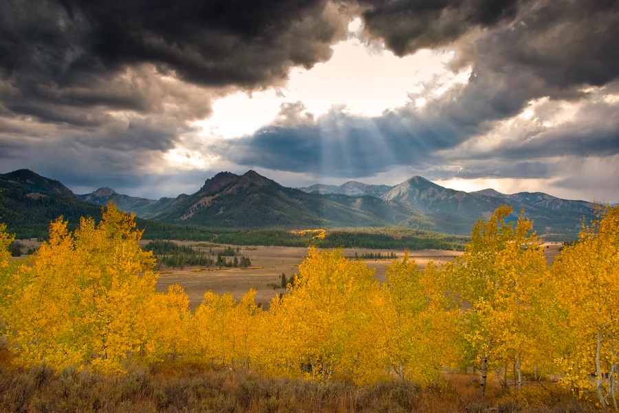Sawtooth Valley Fall Aspens Golden aspens and sun rays over the Sawtooth Valley near Stanley, Idaho