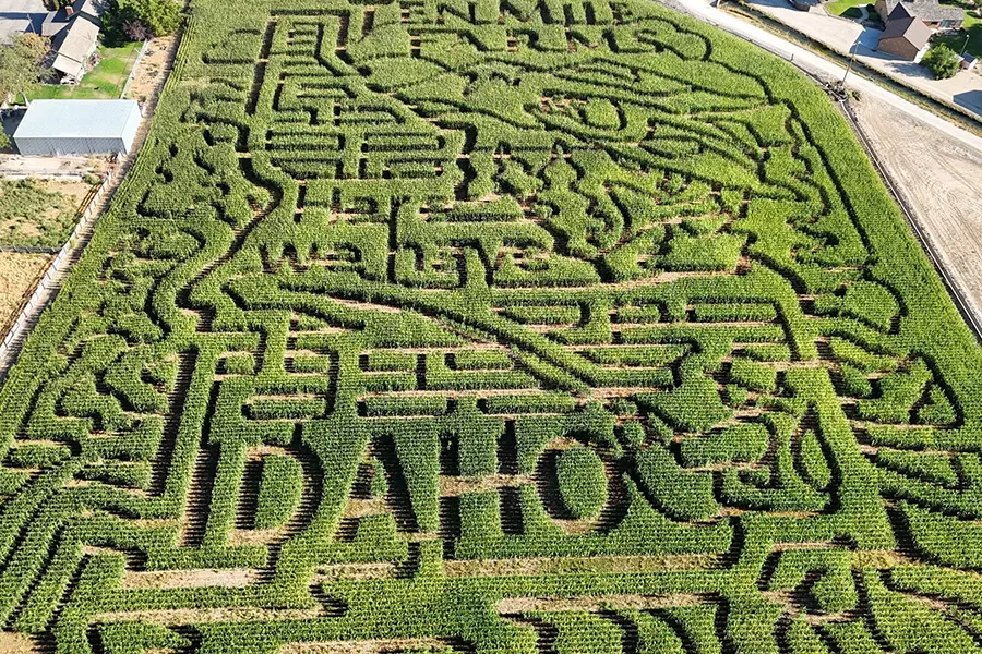 Ten Mile Farms