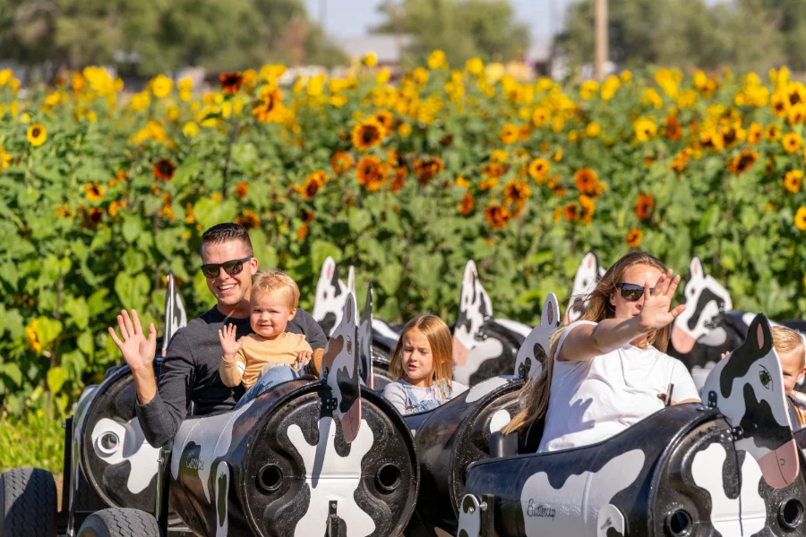Family riding the cow train past sunflowers at Lowe Family Farmstead in Kuna Family riding the cow train past sunflowers at Lowe Family Farmstead in Kuna